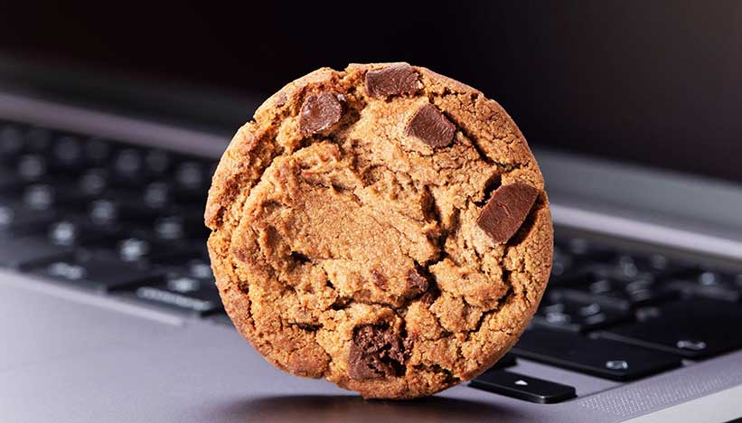 cookies sandbox